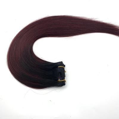 China Gradient Fashion Wigs Wholesale Soft Real Color Human Wig 100% Human Hair Te koop