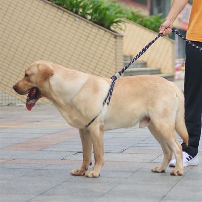 China Wholesale DETACHED Soft Reflective Comfortable Padded Handle Walking Training Increasing Rope Slip Dog Leash for sale