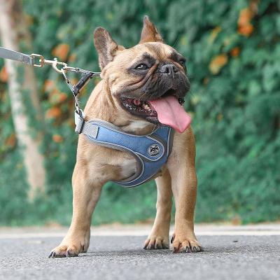 China Mesh Cat Dog Harness Leash Set Soft Quick Release Small Breathable Adjustable Pet Harness and Leash Summer Chest Vest Reflective Vest for Pets for sale