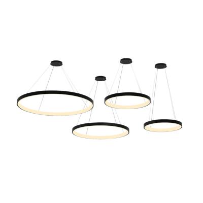 China Customized architect-designed interior luminous pendant light from quality raw material ECOJAS manufacturer for sale