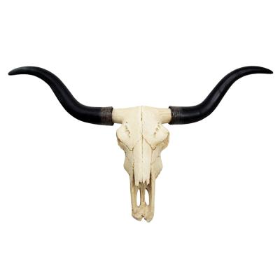 China Custom Europe Polyresin Wall Mount Decorates Head Longhorn Resin Cow Skull for sale