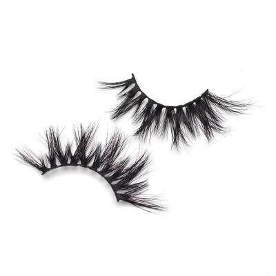 China Wholesale Guaranteed Magnetic Eyelashes Reusable Mink Extension Vendor Quality Appropriate Prices for sale