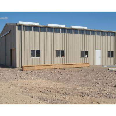 China Low Cost China Prefab Steel Structure Warehouse Building Factory Hot Selling Manufacturer for sale