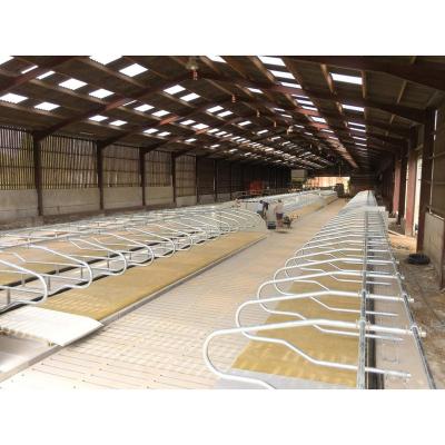 China Low Cost Prefab Steel Structure Building Design Cow Farm Shed Factory Direct for sale