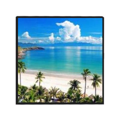 China Show Solid Reputation 22.0 Inch LCD IPS Display Type LCD Module 1920*1920 for sale