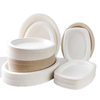 China 2022 New Store Painting Disc Bagasse Sugarcane Contemporary Disposable Paper Plates Hot Manual Pulp Mold for sale