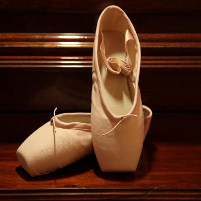 China Wholesale High Quality Professional Adult Canvas Ballet Pointe Shoes For Sale for sale