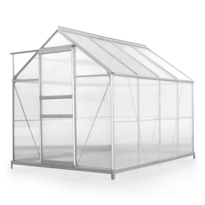 China Factory Wholesale-4mm Polycarbonate Sheet Mini Indoor /Outdoor Easily Assembled Plastic Green House for sale