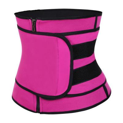 China Adult Rose Red And Black Hot Selling Waist Trainer Slimming Corset Belly Belt Waist Training Trainer for sale