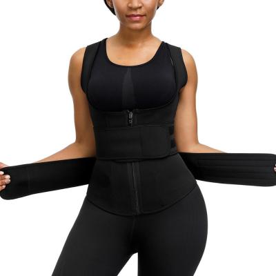 China High Quality Antibacterial Body Shaper Slimming Belt Waist Trainer Belt Nylon And Spandex Shapewear For Women for sale