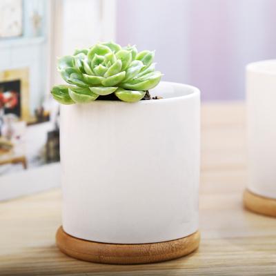 China Mandala White Porcelain Succulent Pot Simple Nordic Modern Green Plant Ceramic Pot Can Print Logo for sale