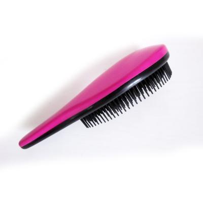 China Amazon Hot Selling Home Plastic Hair Brush Egg Shape for sale