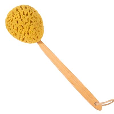 China All Natural Custom Logo Long Bath Brush Wood Handle for sale