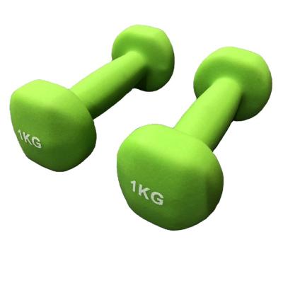 China Durable Customizable Different Colored Weight Neoprene Coated End Reapbarbell Flat Dumbbell for sale