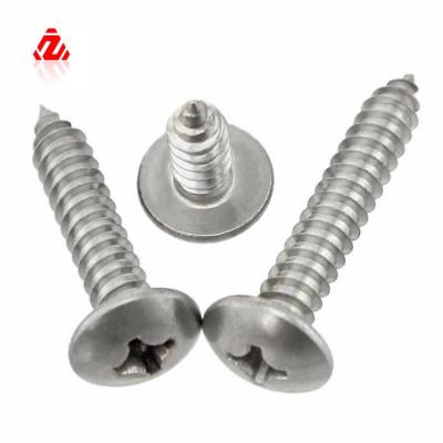 China Pan PT Style Thread Forming Screw For Plastic Thread /self Tapping Screw for sale