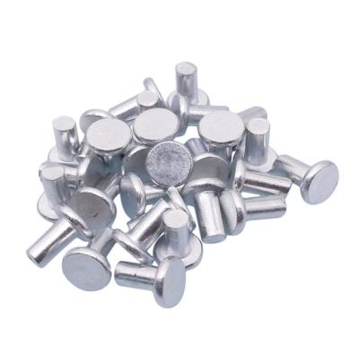 China LEITE 5mm Diameter 10mm Flat Milled Aluminum Shank Head Solid Rivets For Fittings for sale