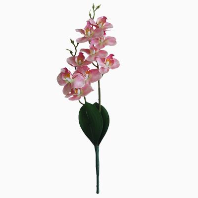 China Wholesale Simulation Flower 7 Silk Fork High End Phalaenopsis For Wedding Decoration Bonsai Thousand Dancing Orchids for sale