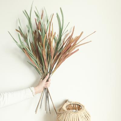 China 2021 Hot Selling Paper Phragmites Paper Pampas Grass Plume Reed Sticks Pampas Grass Plume For Decoration for sale