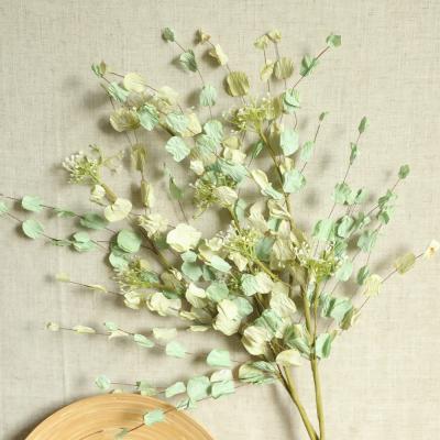 China Real Natural Cheap Dried Rich Leaves Preserved Dried Rich Bouquet Dried Leaves Paper High Quality Decor Rich Flowers for sale