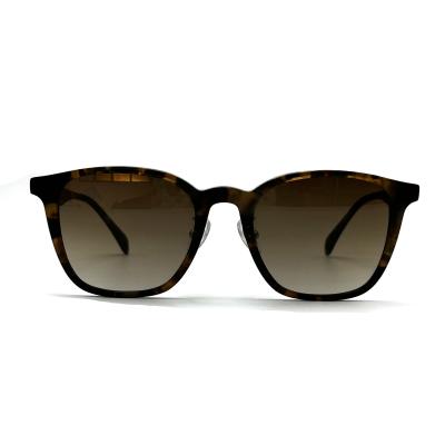 China AS106 Cuadrado CR 39 Lente Acetato Cuadro Gafas de sol 100% Protección UV Estilo clásico en venta