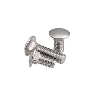 China M3 M4 M5 M6 M8 Stainless Steel Long Neck Truss Mushroom Square Neck Carriage Bolt 304 Stainless Steel Head Screws for sale