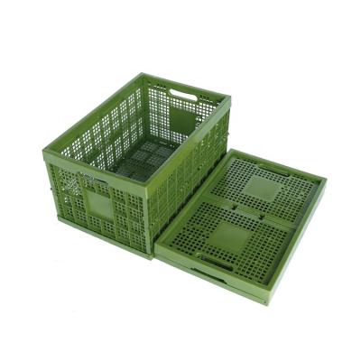 China Sustainable High Quality Folding Plastic Storage Crate For Tomato for sale