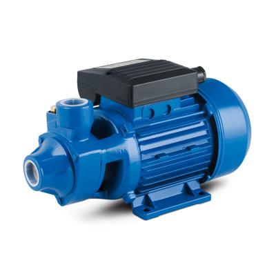 China Family Homes Household Application Peripheral Micro Electric Vortex Water Pump 1/2 Kw Horsepower for sale