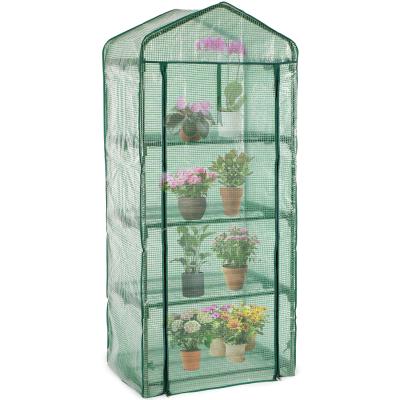 China Easily Assembled Small 4 Tier Chinese Garden Greenhouse For Garden for sale