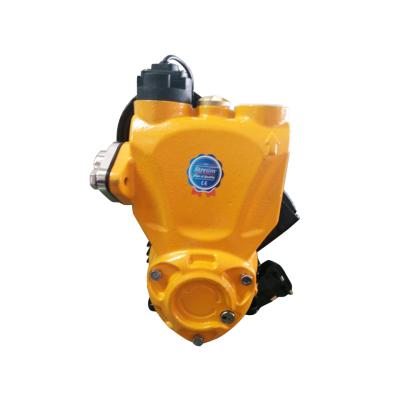 China SJLM70-600A Automatic Surface Water Energy Saving Booster Pump With Stainless Steel Pressure Tank for sale