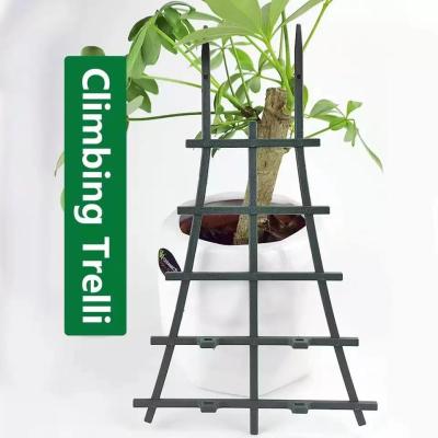 China Modern Indoor Plant Trellis Plant Trellis for Plants Garden Plant Supports Climbing for sale