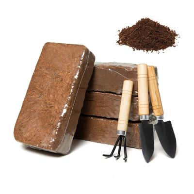 China Nature Coco Coir Brick 650g Coco Peat Planning Block For Garden Plant Planning for sale