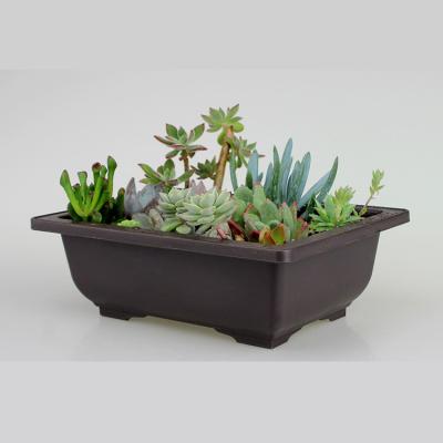 China Indoor Chinese style garden decoration cheap plastic small plant potted plant succulent pots for sale