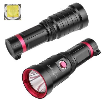 China High Power Super Power Waterproof Luminous Made In China Branded Scuba Flashlight Albatross Deep Water Diving for sale