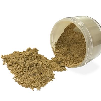 China Moisturizer Bulk Natural Loose Translucent Loose Face Powder Finishing Conpact Setting Powder for sale