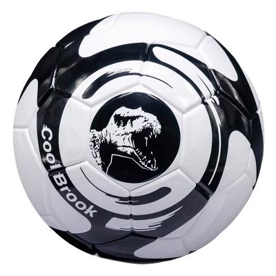 China Custom Soccer Traning Factory OEM Soccer Printing Size 5 TPU Design Match Soccer Ball for sale