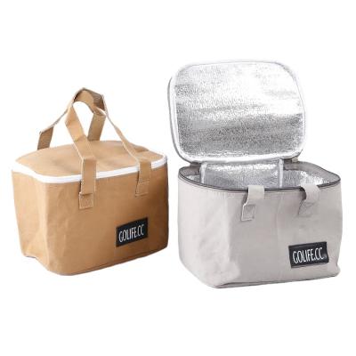 China Eco-friendly Reusable Natural Washable Cooler Bag Color Seafood Thermal Insulation Insulated Lunch Take Out Bag for sale