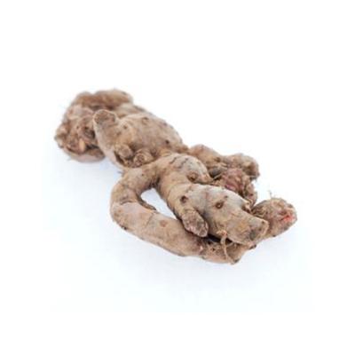 China Specification Fresh Ginger Chinese Cheap Price Fresh Different Ginger for sale