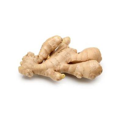 China Wholesale Fresh Air Dry New Fresh Crop Ginger With Mesh Bag for sale