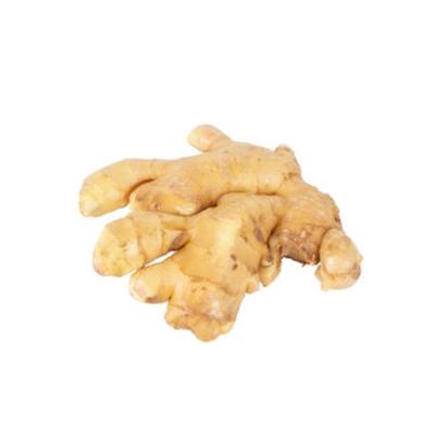 China Ginger Fresh Organic Ginger Good Fresh Quality Chinese Garlic for sale