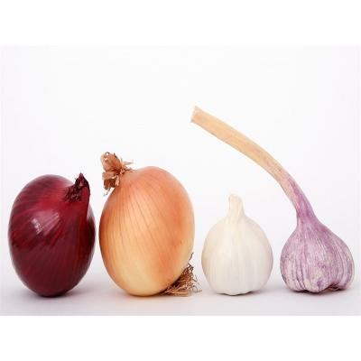 China Wholesale price buy fresh fresh seed garlic for fresh peeled garlic for sale