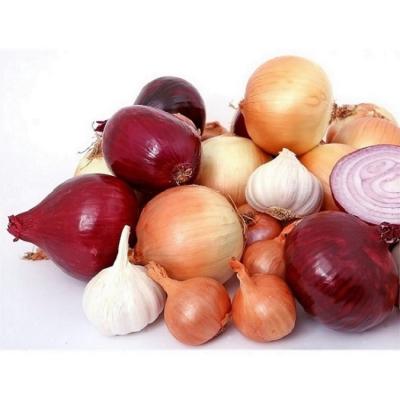 China Fresh Manufacturers Provide Great Output Garlic For Which Quality Garlic Services for sale