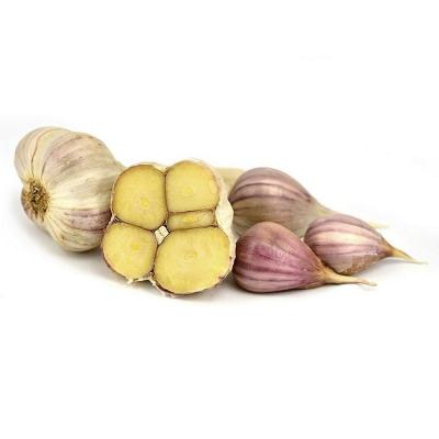 China High quality fresh best quality fresh garlic and big yield chinese garlic for export for sale