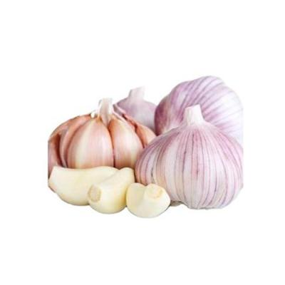 China new culture bawang fresh putih 2021 export normal white garlic wholesale for sale