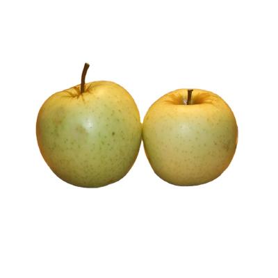 China Fresh the best Direct-selling Fresh Green Apple fruit for exporting for sale