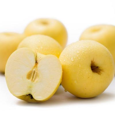 China Factory Fresh Supply Refreshing Yellow Fruit Apple For Big Apple Fruits for sale