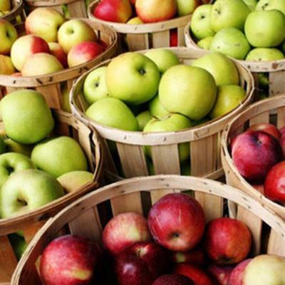 China Wholesale High Quality Fresh Green Apple Fresh Green Apple Export Price for sale