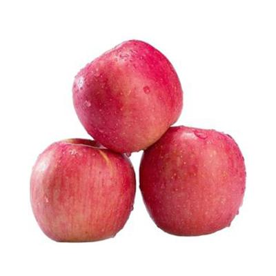 China Health and nutrition red apple all kinds of original FOB types of style packaging weight CIF prices of various fresh fruit size category products for sale