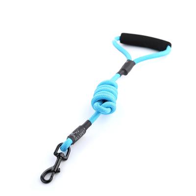 China Custom Logo Pet Product Detachable Nylon Adjustable Dog Leash Durable Pet Leash for sale