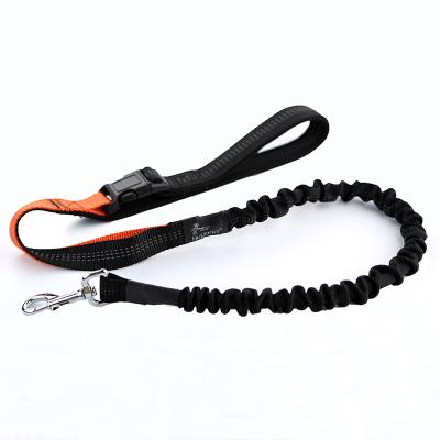 China Newcomer DETACHED dog leash with metal buckle for sale