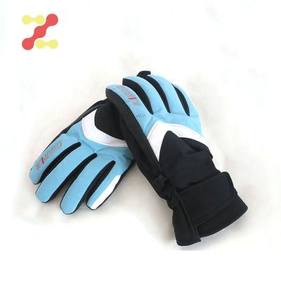 China Touch Screen Women Gloves Winter Snow Waterproof Ski Leather Sport Winter Snowmobile Windproof Gloves for sale